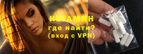 твердый Новозыбков