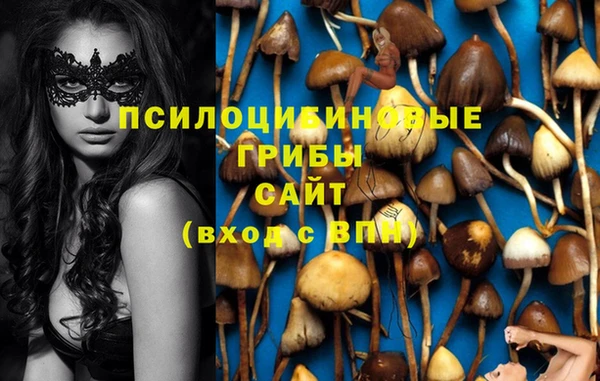 мдпв Новокубанск