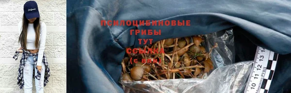 мдпв Новодвинск