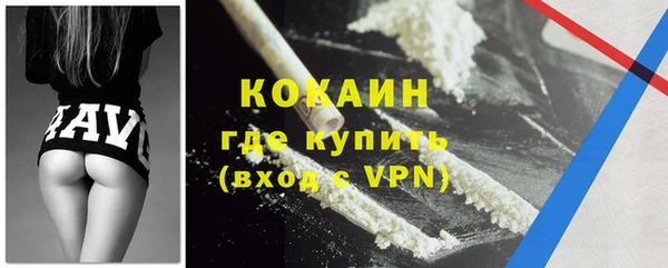 твердый Новозыбков
