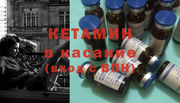 твердый Новозыбков