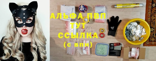 твердый Новозыбков