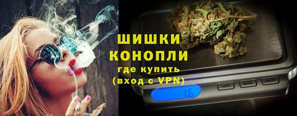 твердый Новозыбков