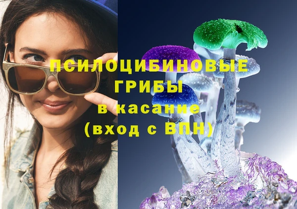 твердый Новозыбков