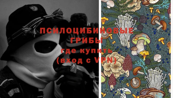 твердый Новозыбков