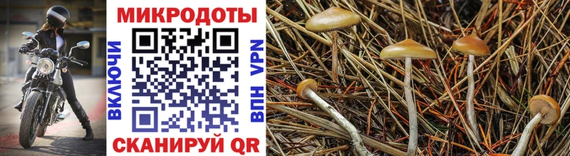 Купить где  Орлов  Галлюциногенные грибы Magic Shrooms 